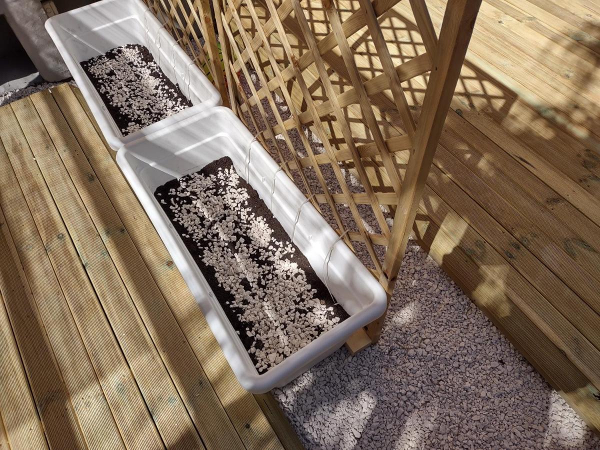 Appartamento Corallo With Private Garden オルビア エクステリア 写真